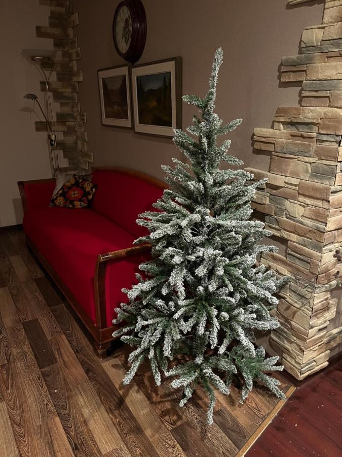 Cosy Appartment. Puessi Town Pyussi Exterior foto